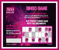 Foxy Bingo National Ladies Day with the Dreamboys